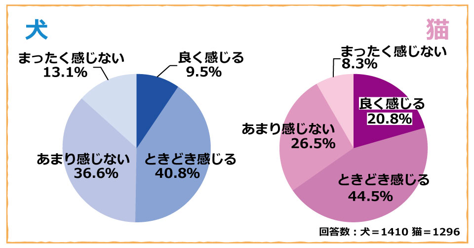 ペットの健康管理に関する意識調査回答4