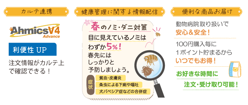 �J���e�A�g��