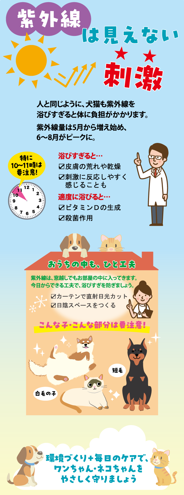 ���O���͌����Ȃ��h��