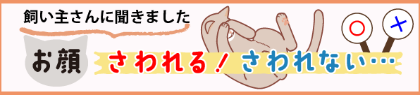炳IȂc