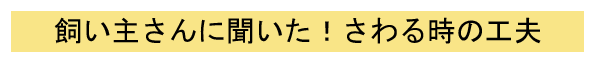 AP[g3