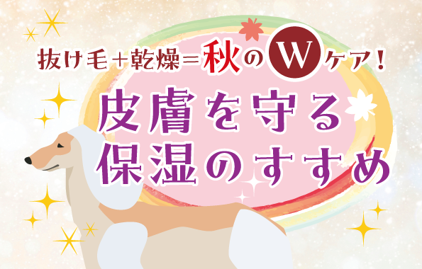 畆ێ̂