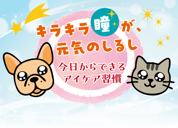 キラキラ瞳が元気のしるし