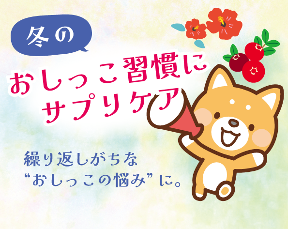 ���������K���ɃT�v���P�A