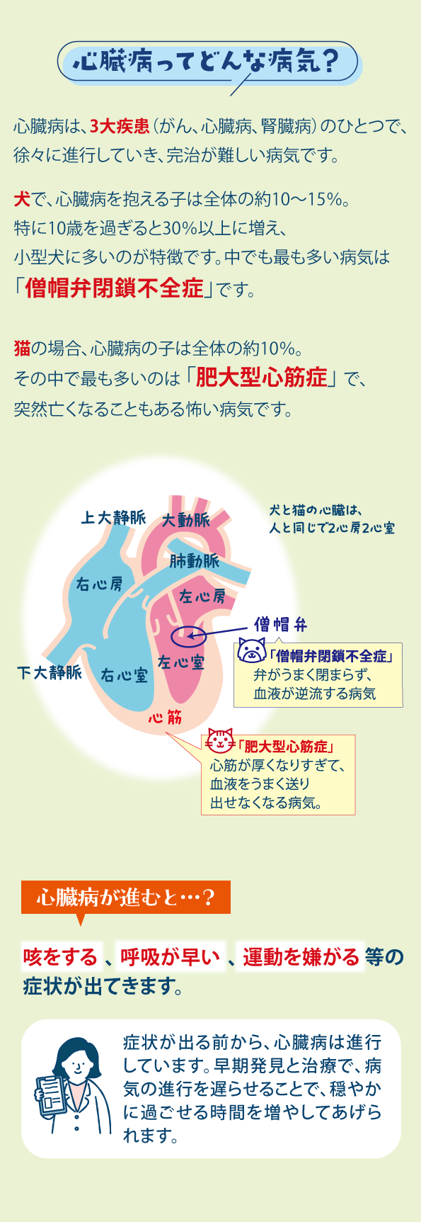 犬と猫の心臓病のこと: ｜動物ナビ｜14時までのご注文で当日発送