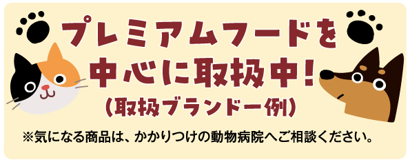 �v���~�A���t�[�h���S