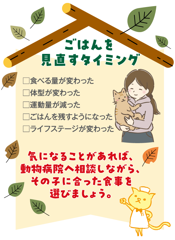 ���͂���������^�C�~���O