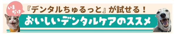 いつものちゅーる購入で、デンタルちゅるっとが試せるチャンス!