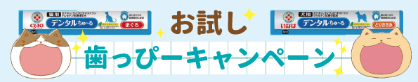 ̂[wŁAf^[邪`XI