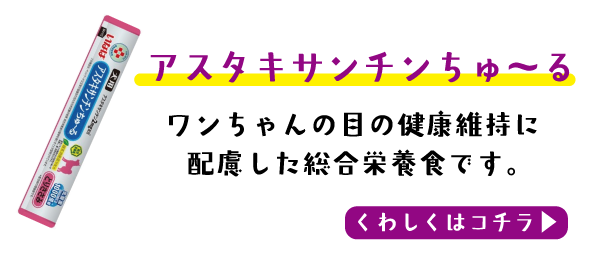 AX^LT`[̏ڍׂ͂