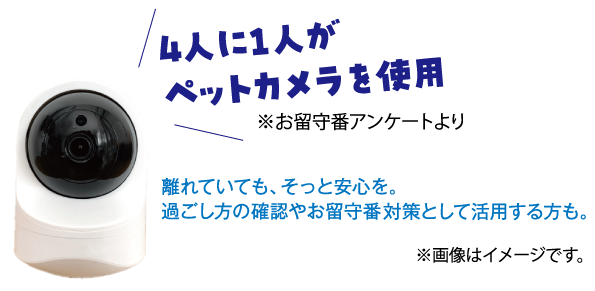 �y�b�g�J�������g�p
