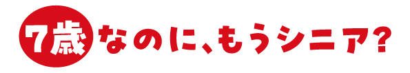 �V�j�A1�N��1