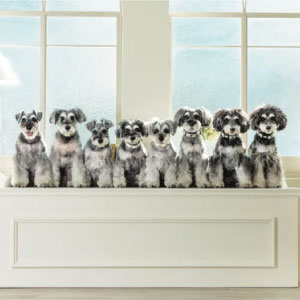 2026年カレンダー ミニチュア・シュナウザー