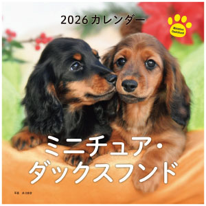 2026年カレンダー ミニチュア・ダックスフンド