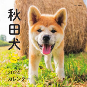 ２０２４年カレンダー　秋田犬