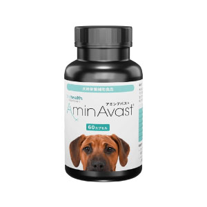 �A�~���A�o�X�g�i���E��^���p�j