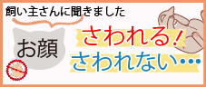 炳