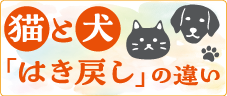 �L�ƌ��̂͂��߂�