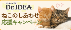 ドクターイデアねこのしあわせ応援