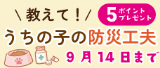�h�ЍH�v�A���P�[�g
