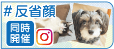 ȊI茠CX^