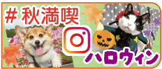 ̏HI茠nEBtHgR