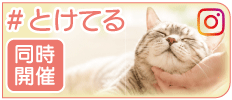 �Ƃ낯�p�I�茠���\