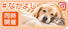 �Ȃ��悵�����I�茠���n���E�B���t�H�g