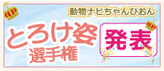 �Ƃ낯�p�I�茠���\