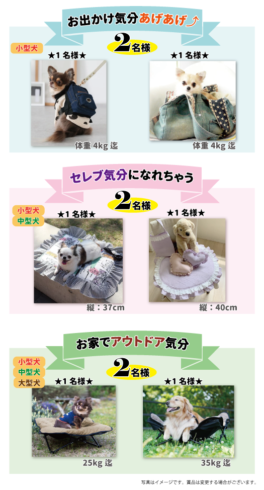 おすすめ Pill Buddy ピルバディ 動物ナビ 14時までのご注文で当日発送