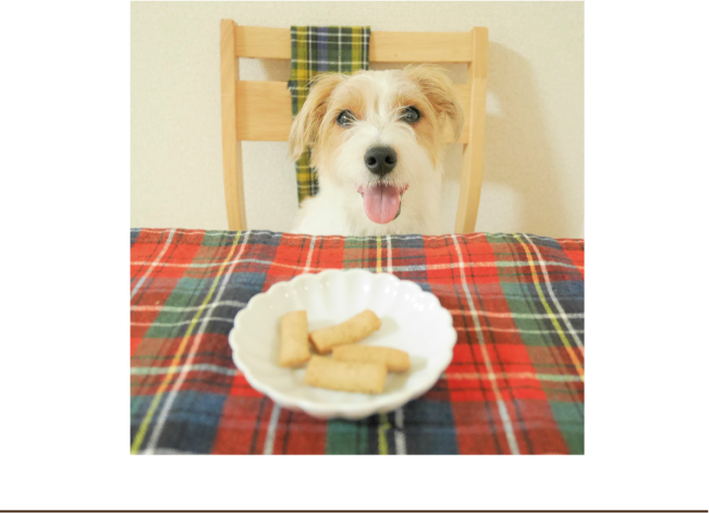 食事ワンコ