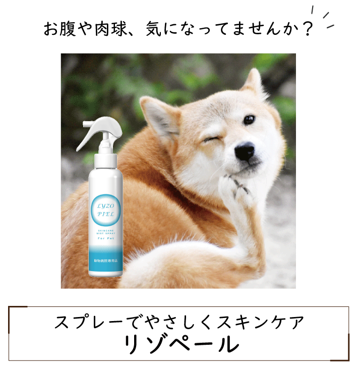 Xv[ł₳XLPA