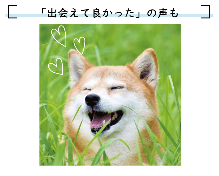 oėǂ̐