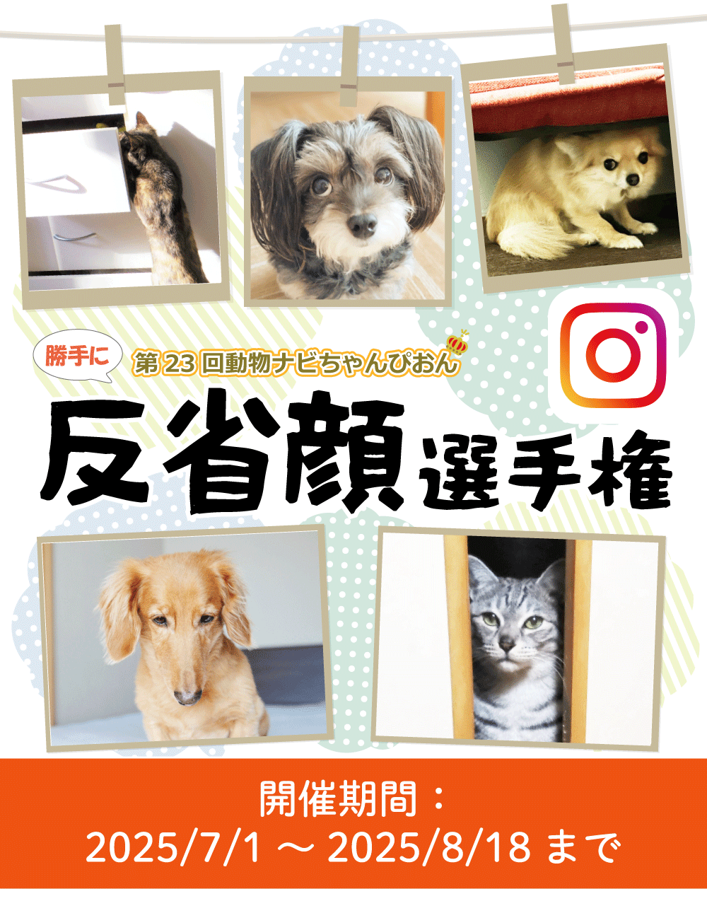 ybg̔ȊI茠^Cg_CX^