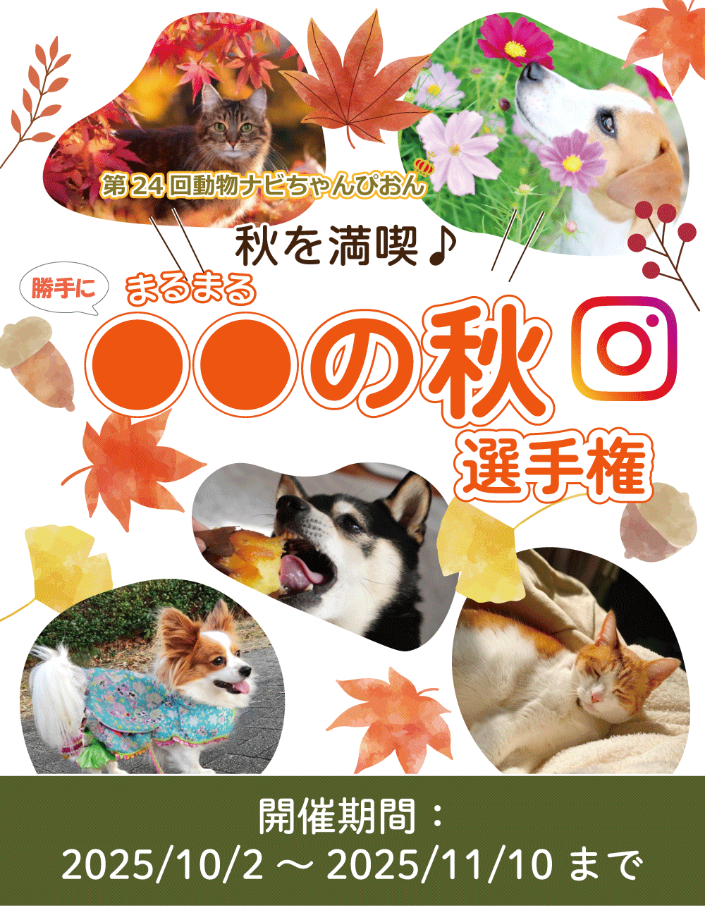 ybǵ̏HI茠^Cg_CX^
