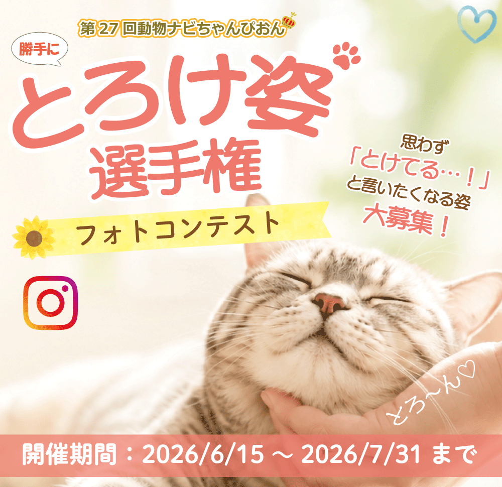 �y�b�g�̂Ƃ낯�p�I�茠�^�C�g��