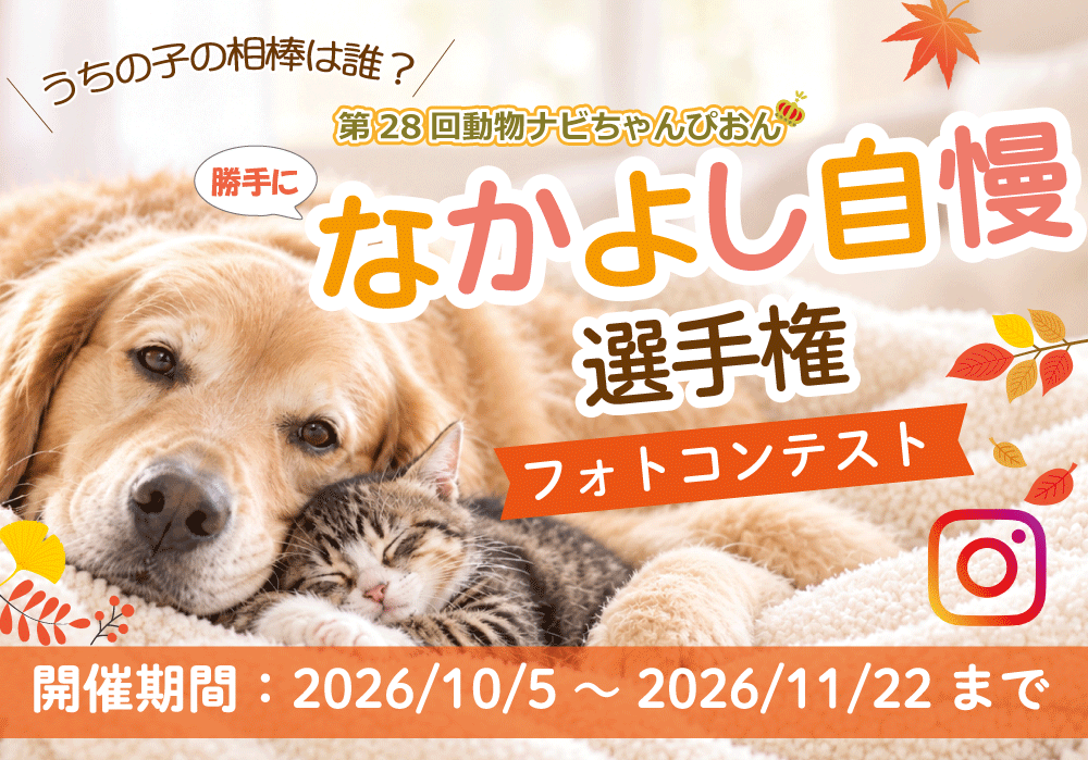 n�Ȃ��悵�����I�茠�^�C�g��