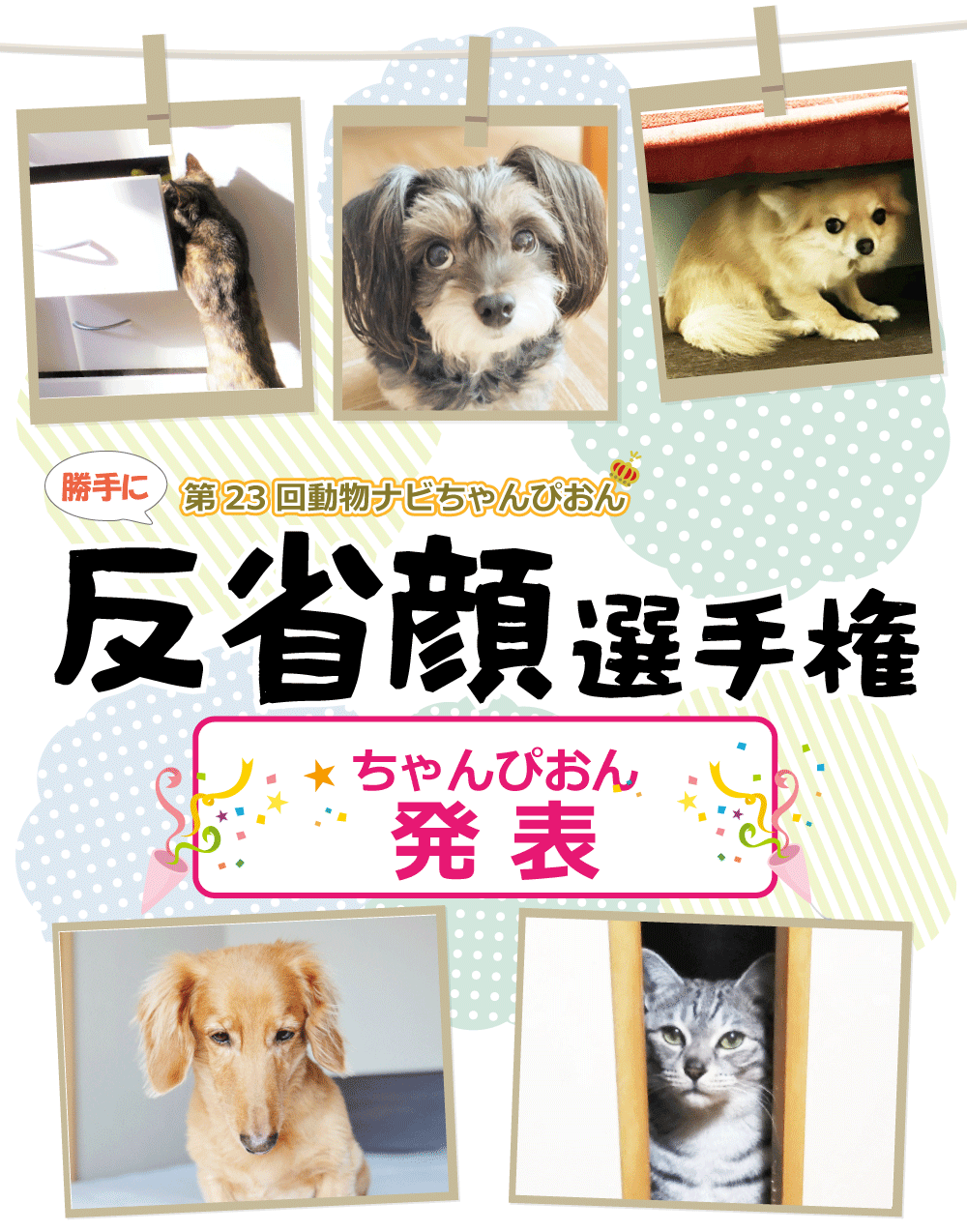 ȊI茠ʔ\
