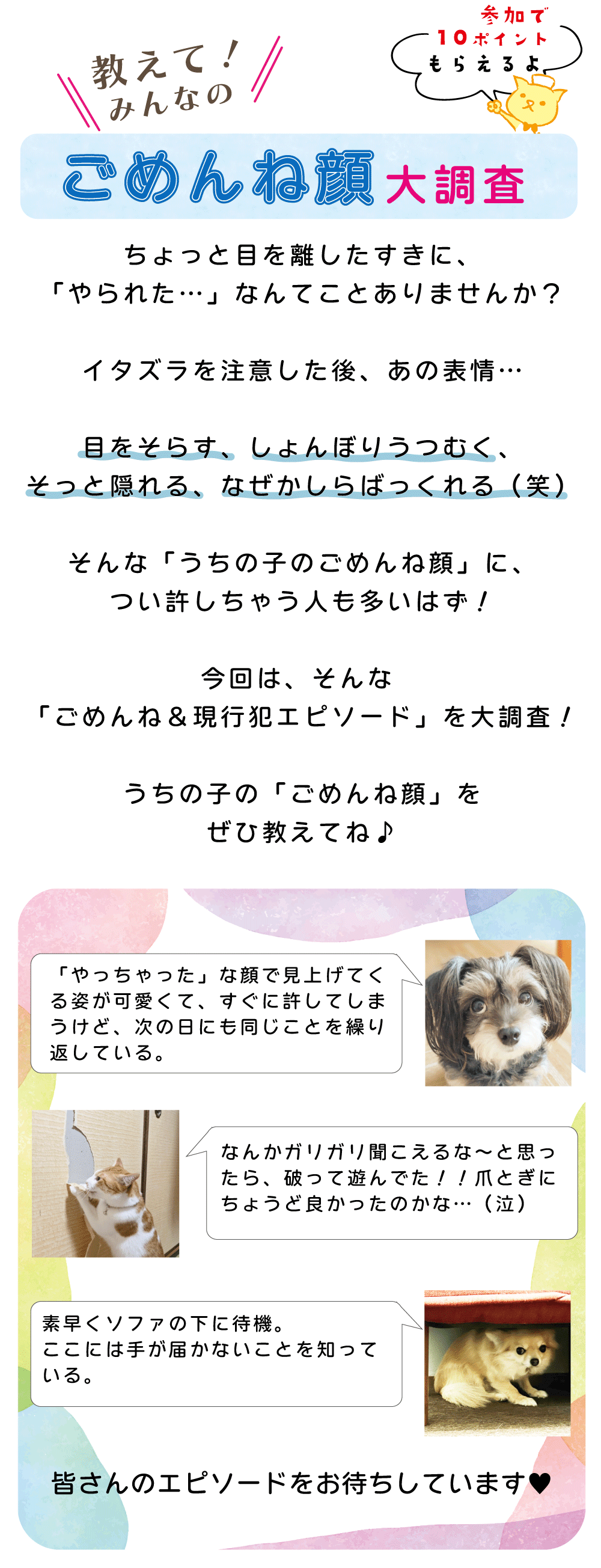 ȊAP[ge