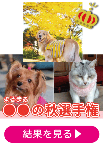 �����̏H�I�茠