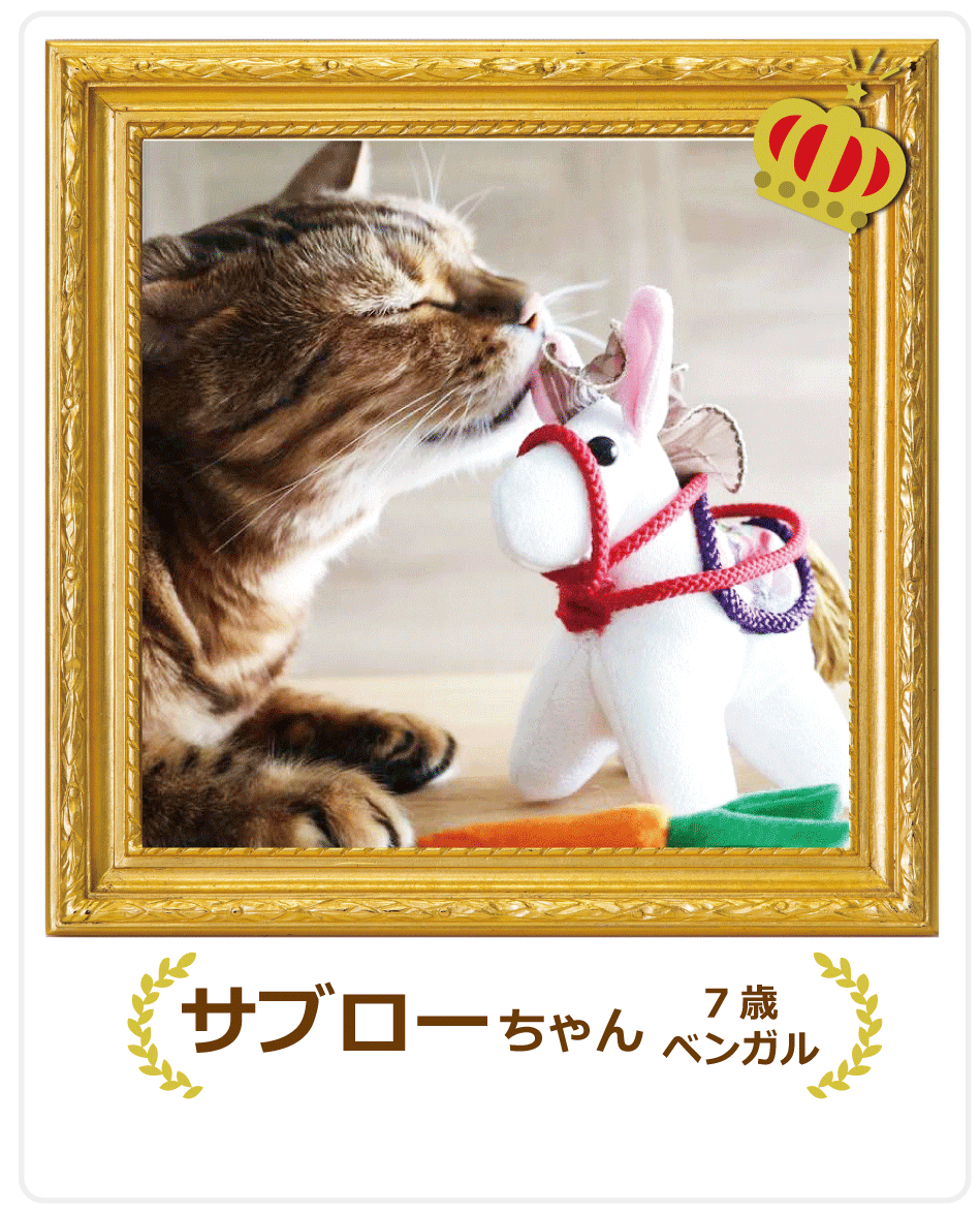 �����������҂���