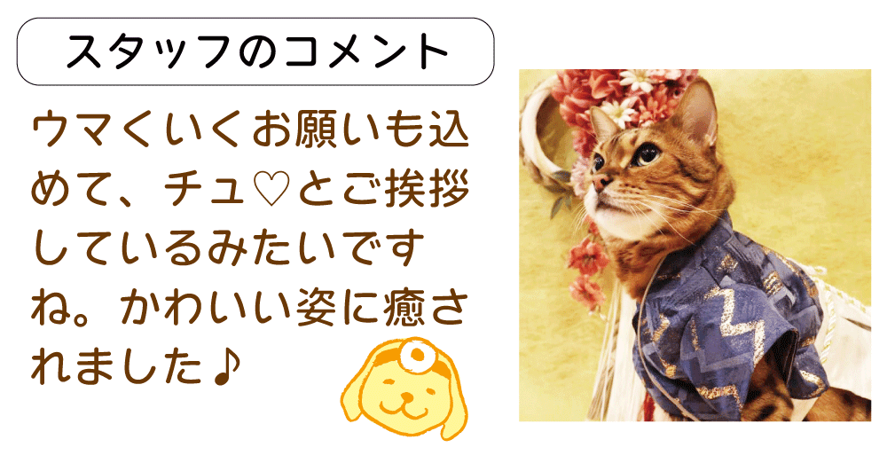 �����������҂���R�����g