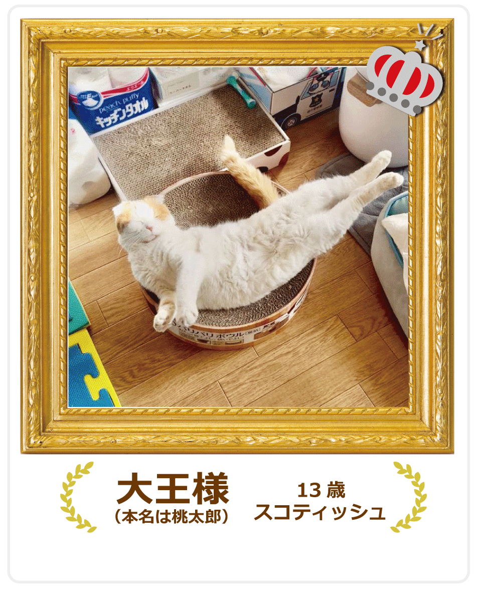 �������L�������҂���