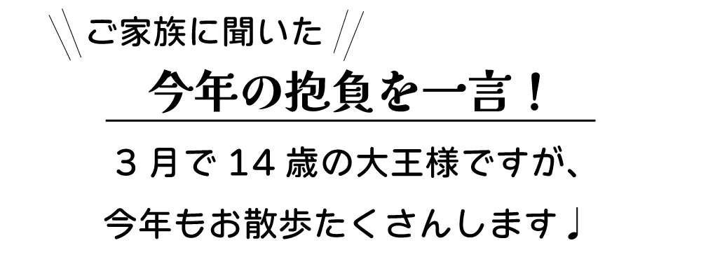 �������L�������҂������