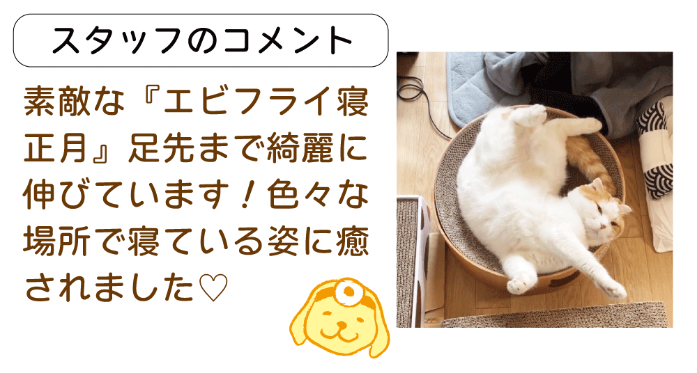 �������L�������҂���R�����g