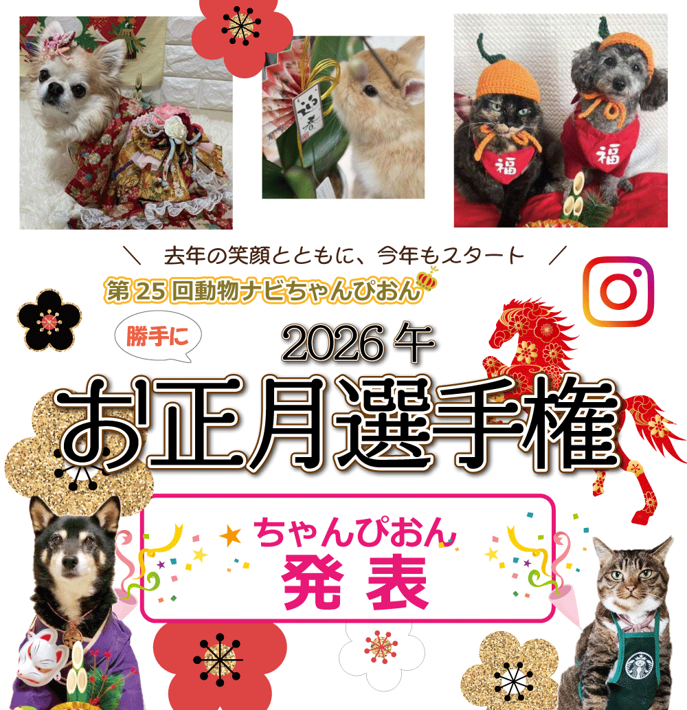 �������I�茠2026���ʔ��\