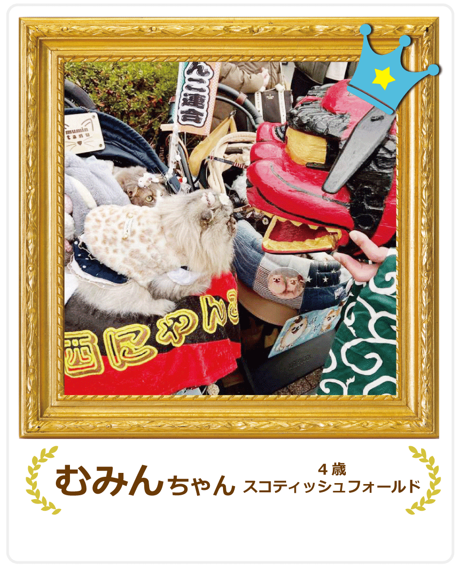 �������L���ʏ�