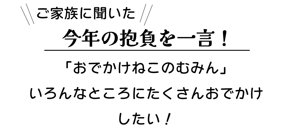 �������L���ʏܕ���