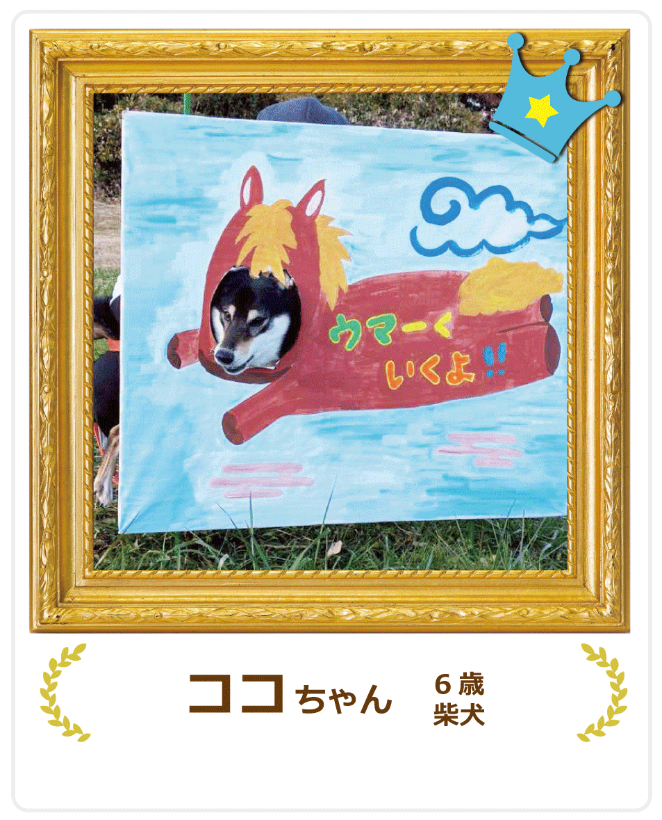 �����������ʏ�