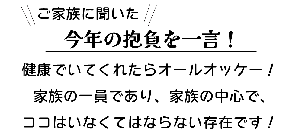 �����������ʏܕ���